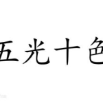 五光十色打一最佳生肖,揭秘最佳生肖背后的文化内涵”