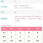 测名字免费,免费测名服务，揭秘名字背后的命运密码