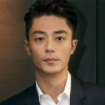 国内男明星大全,璀璨星河中的璀璨星辰