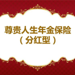 新华保险尊贵人生,全方位保障与理财双赢的保险计划