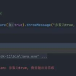 java接口,构建灵活与可扩展的软件架构核心